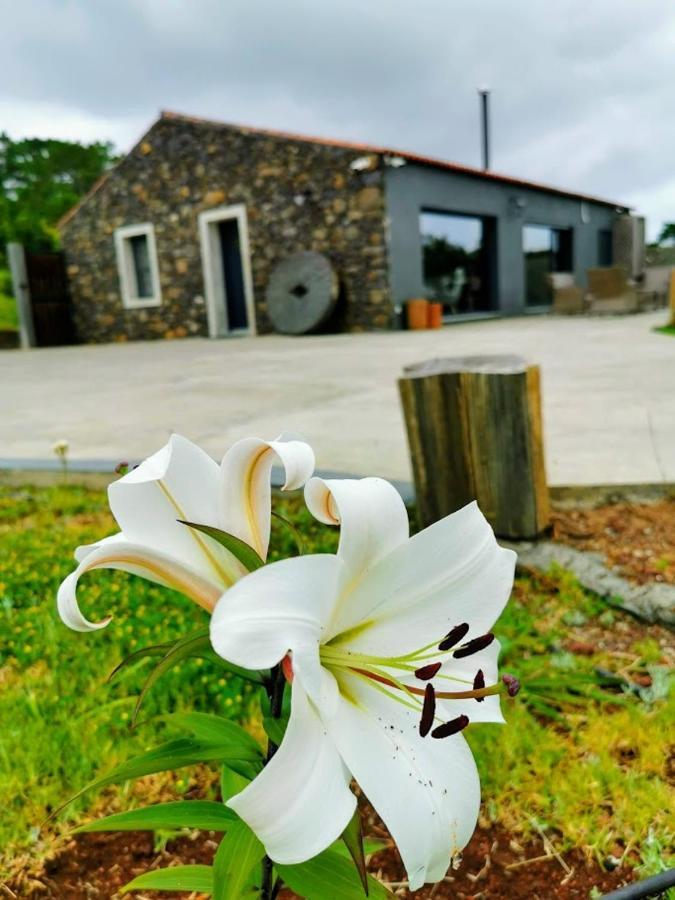 Quinta De Sao Jose Villa Sao Pedro  Luaran gambar