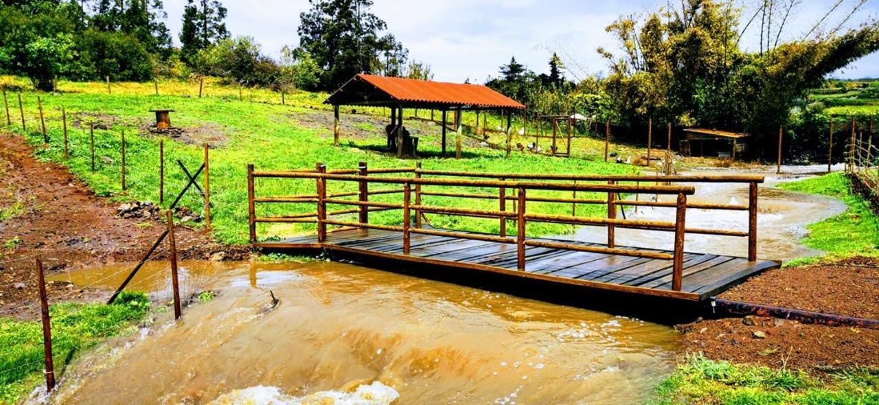 Quinta De Sao Jose Villa Sao Pedro  Luaran gambar