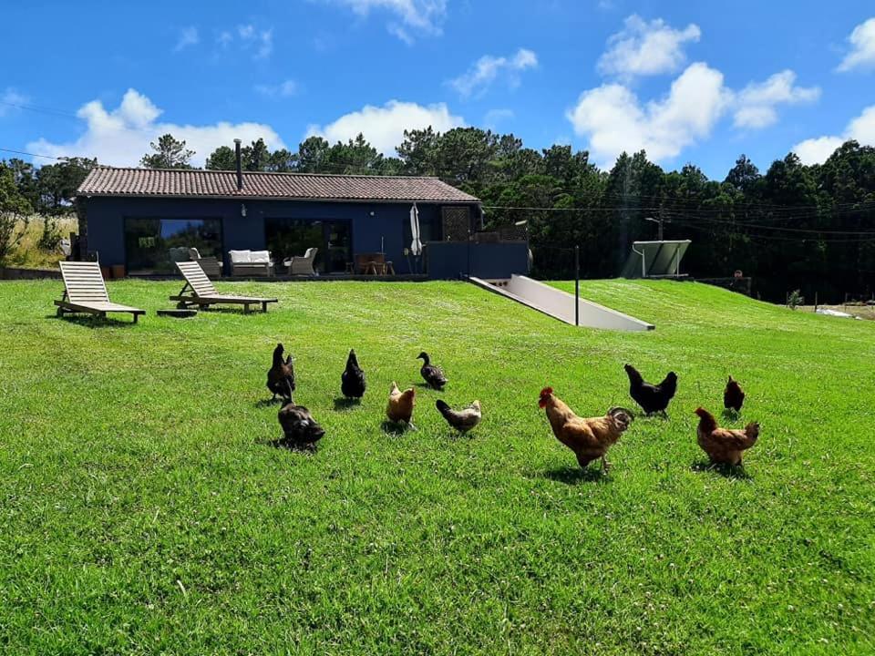 Quinta De Sao Jose Villa Sao Pedro  Luaran gambar